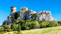 Full-Day Private Chateauneuf du Pape Wine Tour from Avignon