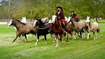 Gaucho Day Tour La Candelaria Estancia From Buenos Aires