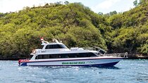 Tickets Fast Boat To Nusa Penida Island From Bali