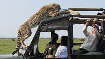 5 Day Kenya Adventure Safari on 4x4 Land Cruiser Jeep
