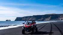 Private South Coast and Black Beach Buggy Tour