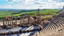 Private Day Trip to Bulla Regia and Dougga