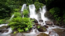 Private Tour to Kulen Waterfall and 1000 Lingas from Siem Reap