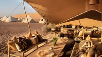 All Inclusive Dessert Safari Adventure and Activities in Dubai