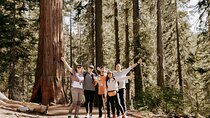 Yosemite National Park & Giant Sequoias 2-Day Semi-Guided Tour
