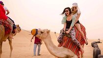 Premium Morning Desert Safari and Burj Khalifa at the top Tour