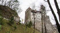 Day Trip Bear Sanctuary, Bran Castle, Rasnov Fortress from Brasov