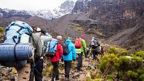 Day Tour Marangu Kilimanjaro