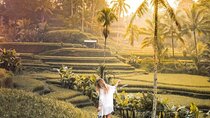 Half Day Tour: Discover Best of Ubud in 5 Hours