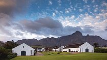 Cape Winelands Wine Tasting Experience 