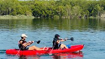 Two Hours Guided Kayaking Tour Reem Central Park Abu Dhabi