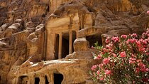 Full Day Private Tour in Petra from Amman