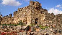 Full Day Private Tour 5 Desert Castles of Jordan from Amman