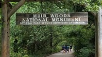 Muir Woods and Sausalito Tour Entrance Fee Included