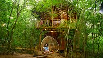 2 Nights in a Tree House in Sigiriya-with nature based activities