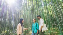 Kyoto Arashiyama Bamboo forest & Garden Half-Day Walking Tour