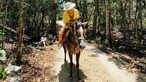 Horse Ride to Cenote Mil Columnas