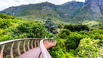 Kirstenbosch and Table Mountain Tour 