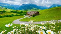 Switzerland Picturebook Private Tour: Farm, Villages, & Mountains