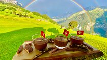 Flavours of Switzerland Luxury Private Tour from Zurich & Lucerne