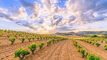Full-Day Private Ribera del Duero Wine Tour from Madrid