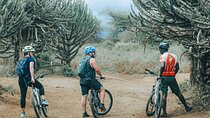Private Cycle to Kilimanjaro Bike Park Safari
