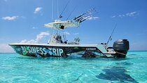 Private Boat Charter in Cayman Islands