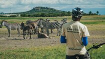 Cycle Kili to Ngorongoro Crater