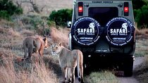 3 Days 2 nights Group joining Midrange Safari Tour in Masai maraa
