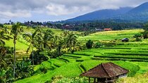 Jatiluwih's Rice Field Terraces: A Scenic Self-Guided Audio Tour