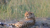 2 Nights /3 Days Masai Mara Experience