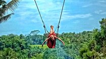 Bali Ubud Jungle Swing: Monkey Forest and Waterfall Private Tour