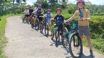 Downhill From Kintamani Cycling Shared Tours in Ubud