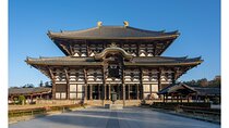 Nara Afternoon Tour (Round Trip from Kyoto)