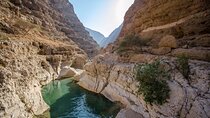 Full Day Private Tour in Wadi Shab from Muscat
