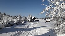 1-day Private Snowshoe Hike in the Gorce Mountains near Krakow