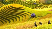 5-Day Private Tour of Ha Giang and Hoang Su Phi from Hanoi By CAR