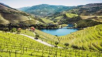 Full-Day Private Douro Valley Wine Tour Experience from Porto