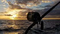 4 Hour Private Sunset Fishing Charter