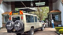 Half-Day National Wildlife Safari Private Tour in Nairobi