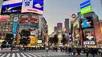 Private Walking Tour in Tokyo - Perfect for First-Time Visitors