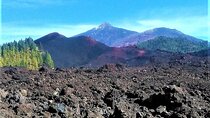 Time travel between volcanoes Trevejo and Chinyero in Tenerife