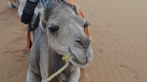 4 Days Private Desert Tour from Marrakech to Merzouga 