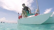 Catamaran Snorkeling with Openbar & Lunch Cancun to Isla Mujeres 