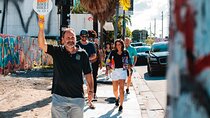 Miami Wynwood Walls Street Art & Neighborhood Walking Tour 