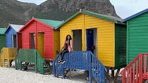 Cape Peninsula, Cape of Good Hope and Penguins Tour in Cape Town