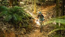 Mountain Bike Tour - Cairns