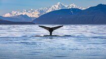 Kaikōura Day Tour From Christchurch With Whale Watch