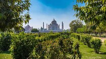 Same Day Agra Tour By Shatabdi Express (Viator Award Winner)