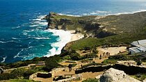 Explore Table Mountain, Meet Penguins and Discover Cape Point